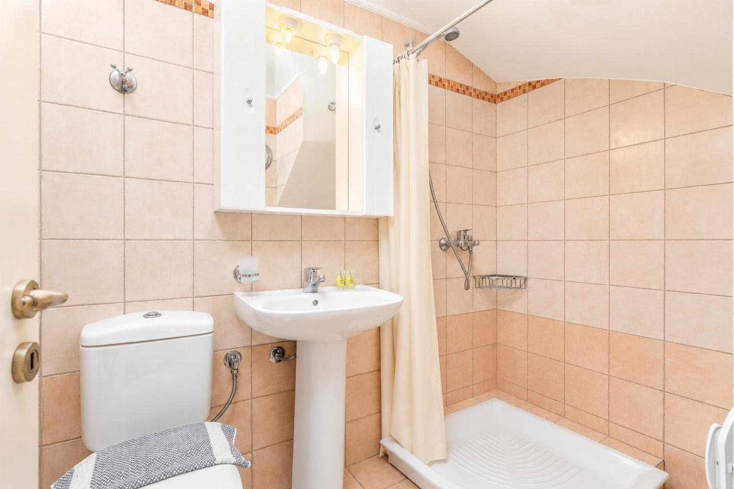 Family bathroom with shower on ground floor