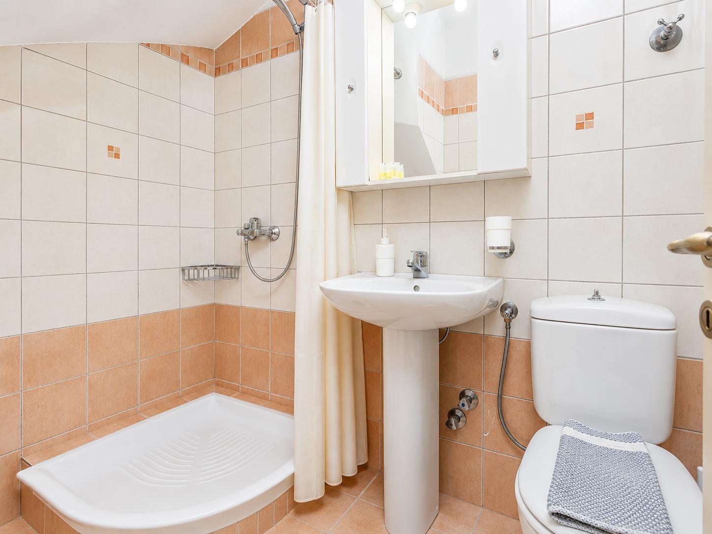 Family bathroom with shower on ground floor