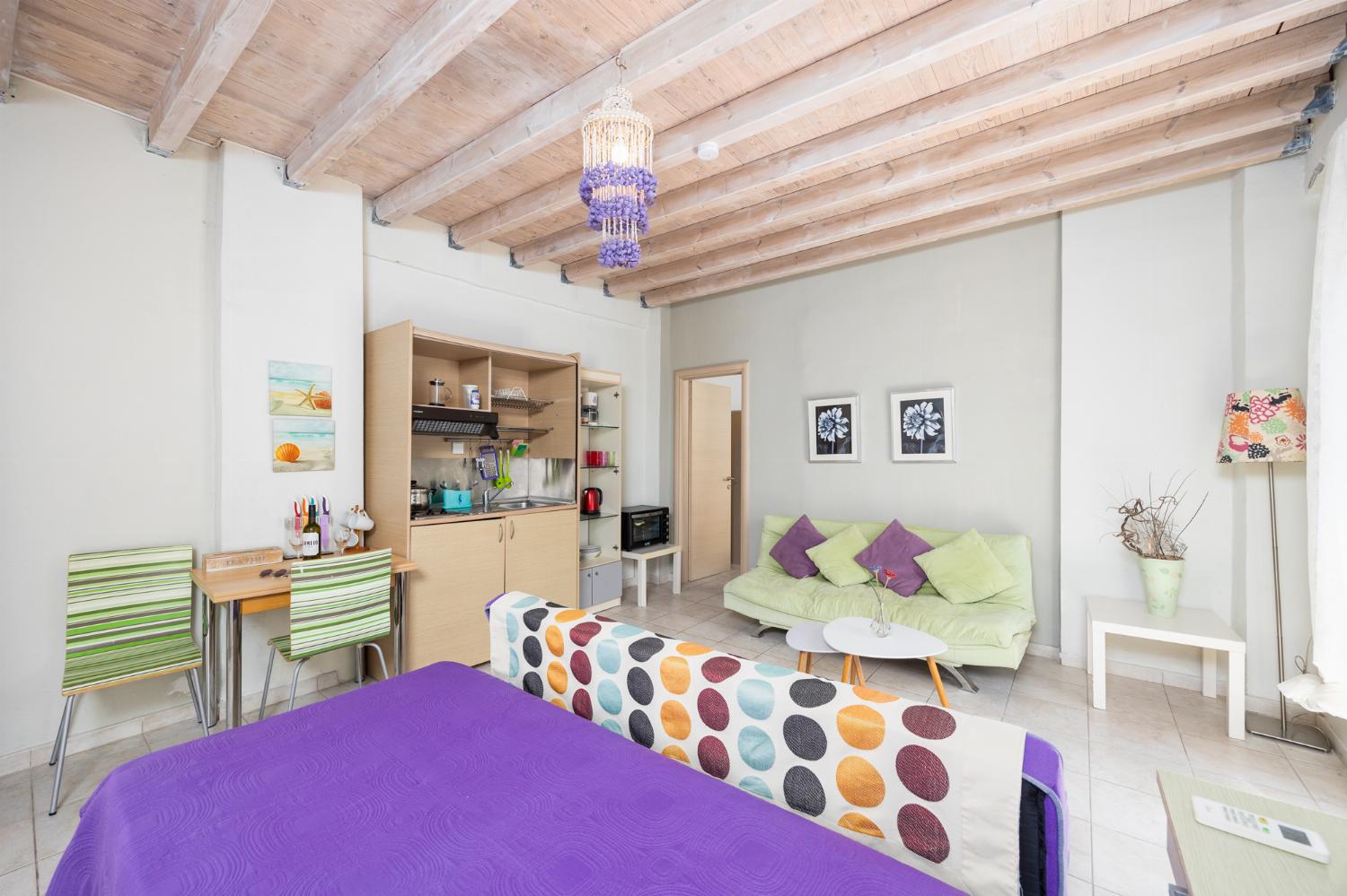 Open-plan living room with sofas, dining area, kitchen, A/C, WiFi internet, and satellite TV