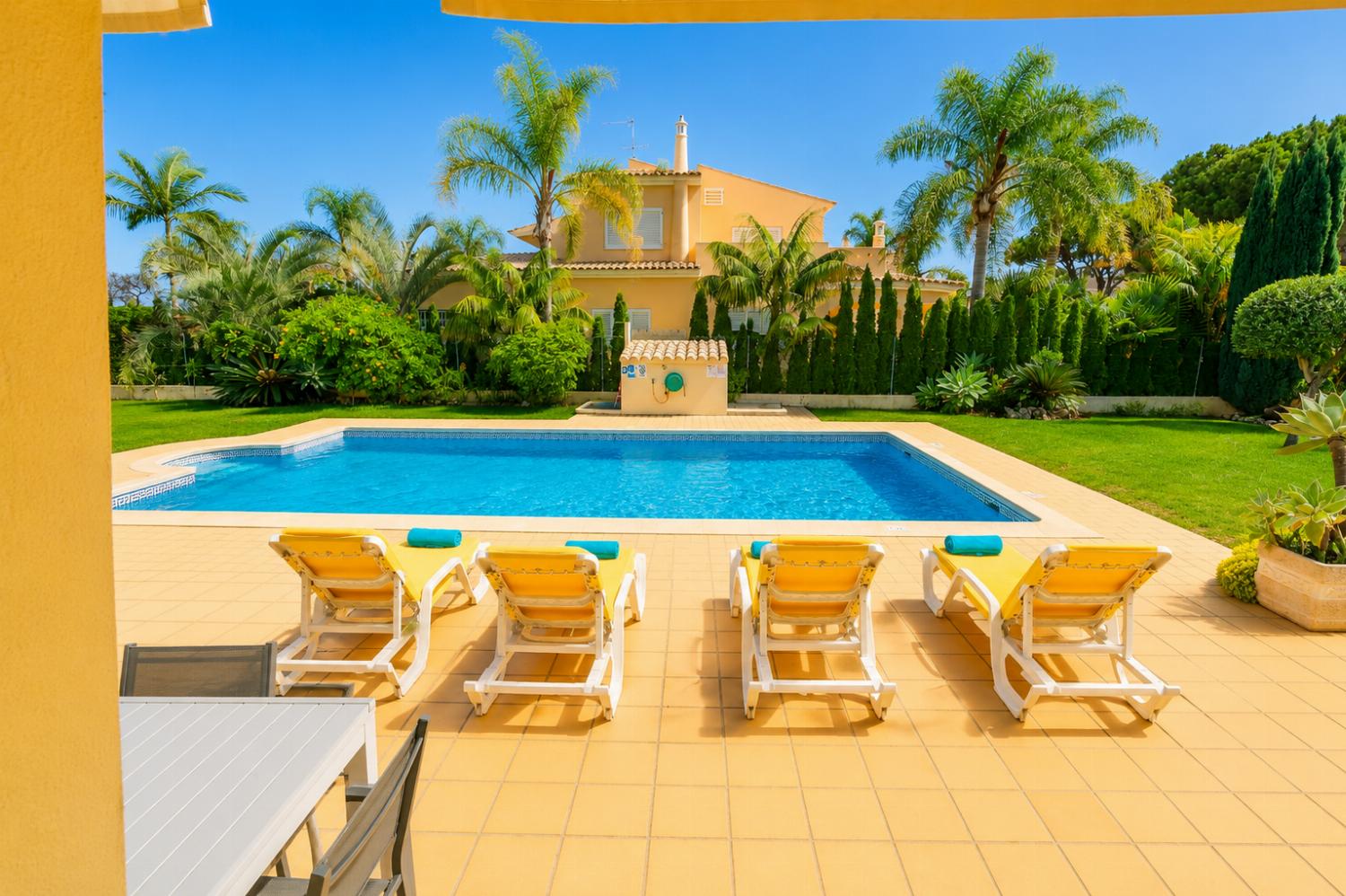 Sunny outdoor patio with a swimming pool, four lounge chairs, and palm trees.