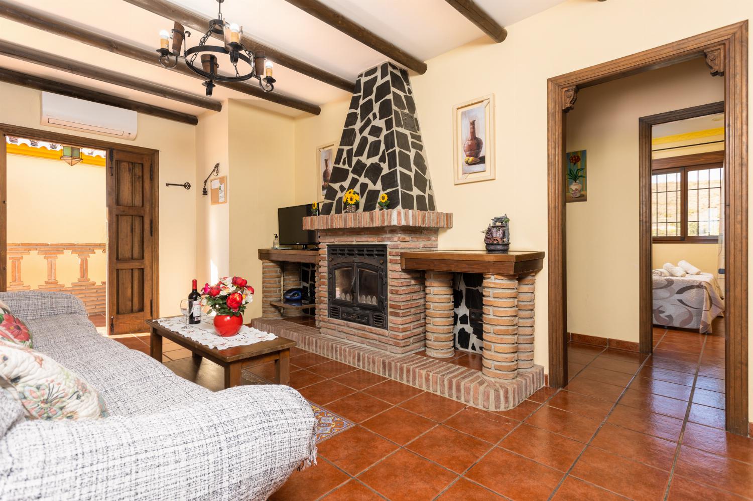 Open-plan living room with sofa, dining area, kitchen, ornamental fireplace, A/C, WiFi internet, and satellite TV