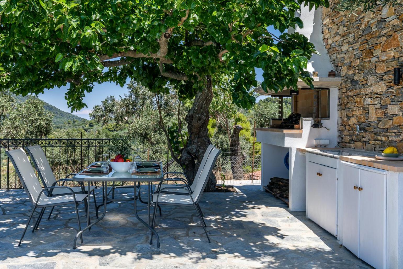 Outdoor dining area with barbecue 