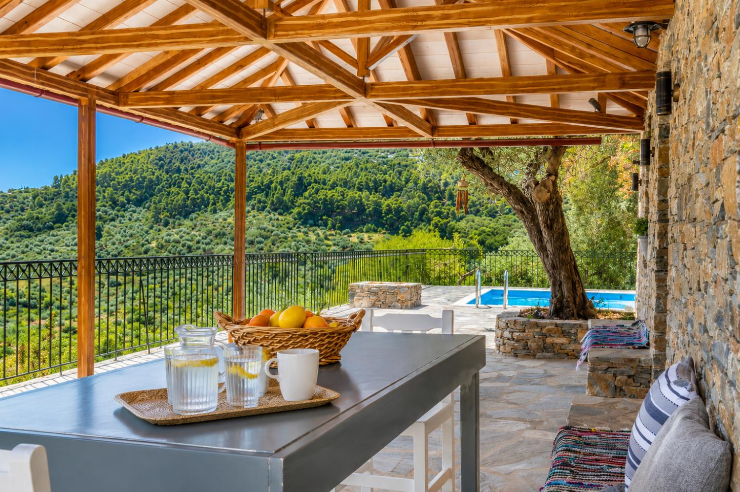 Pool and terrace area