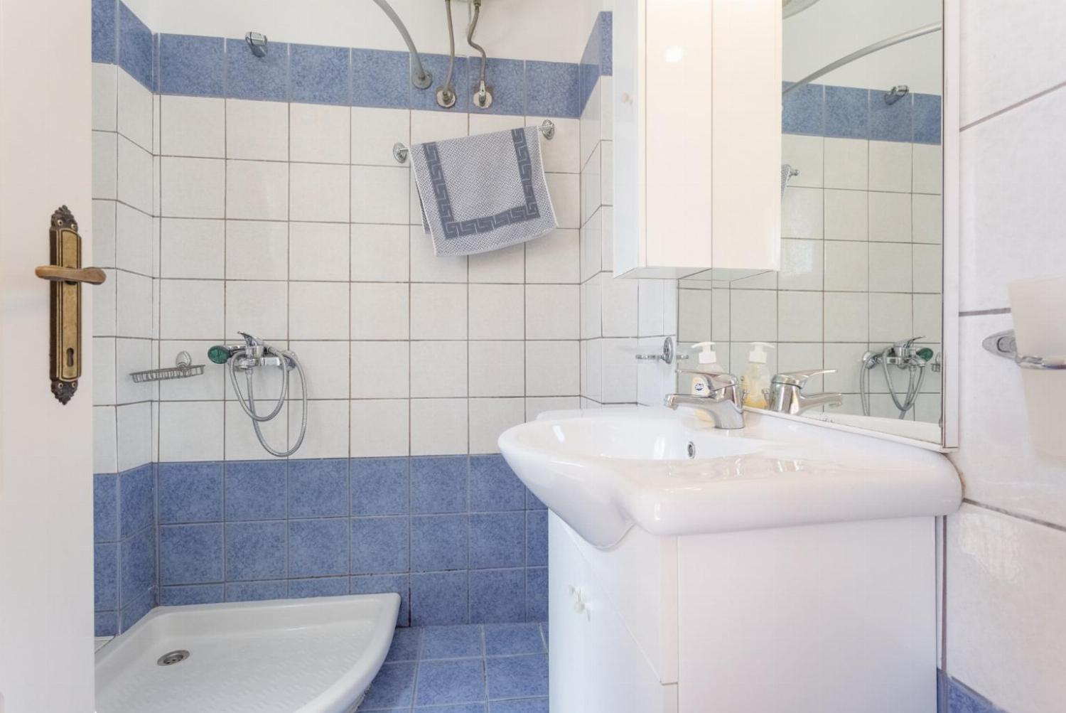 Family bathroom with shower