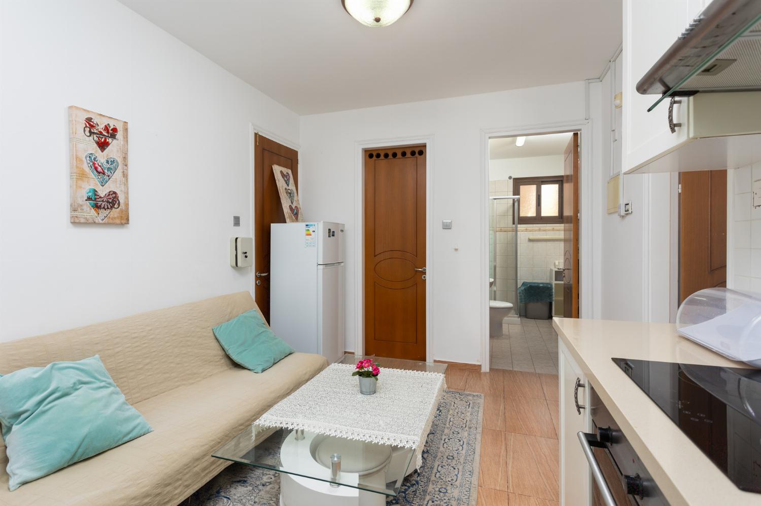 Side apartment: open-plan living room with sofa and equipped kitchen