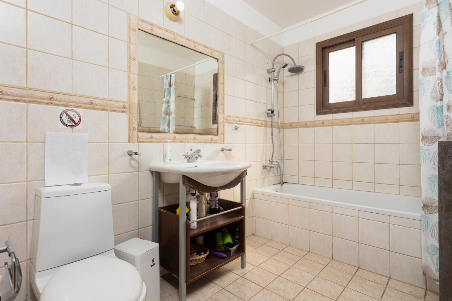 Front apartment: family bathroom 