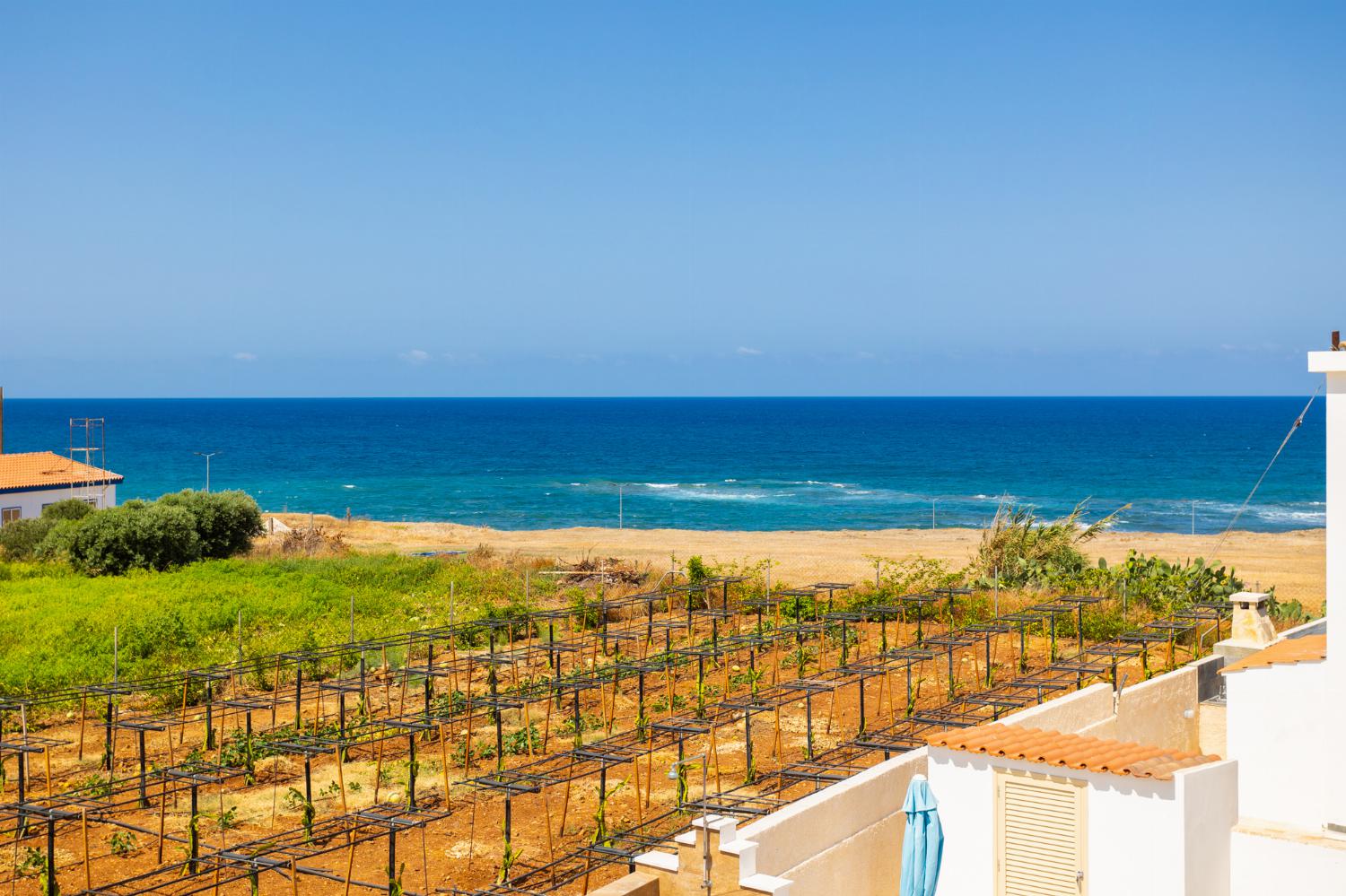 View from balcony
