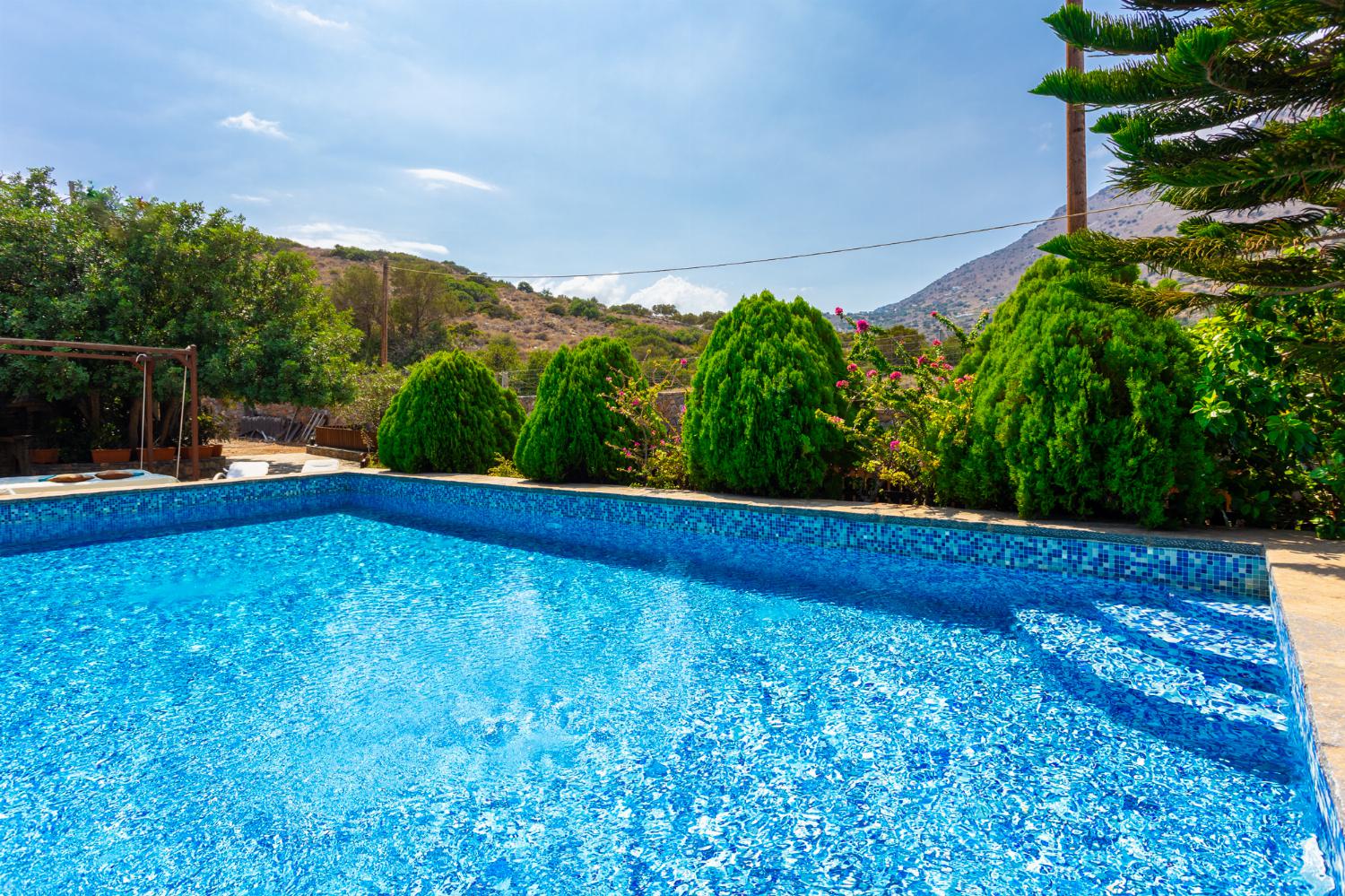 Private pool, terrace, and garden