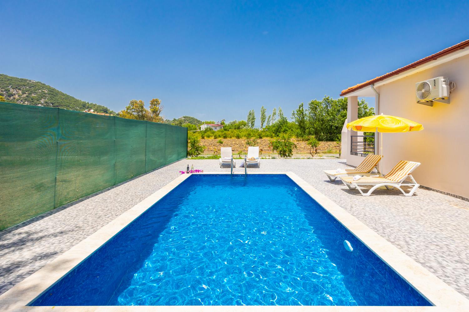 Private pool and terrace