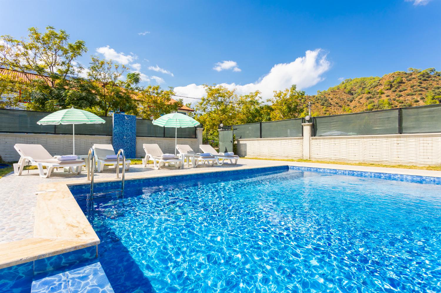 Private pool and terrace