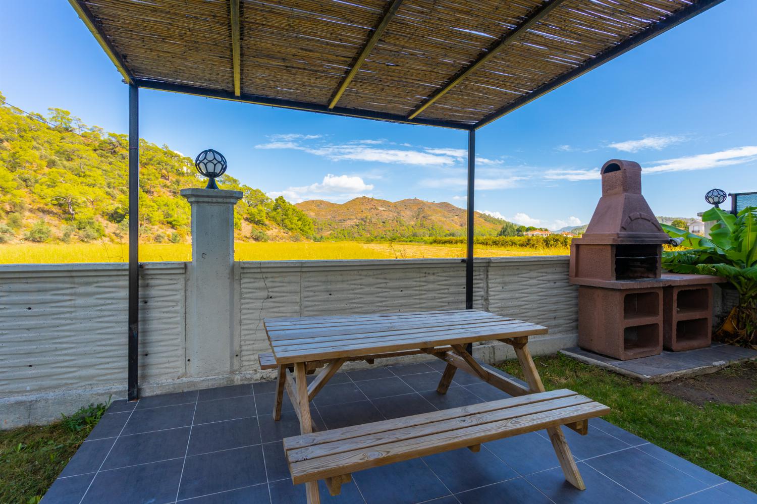 Terrace area with BBQ