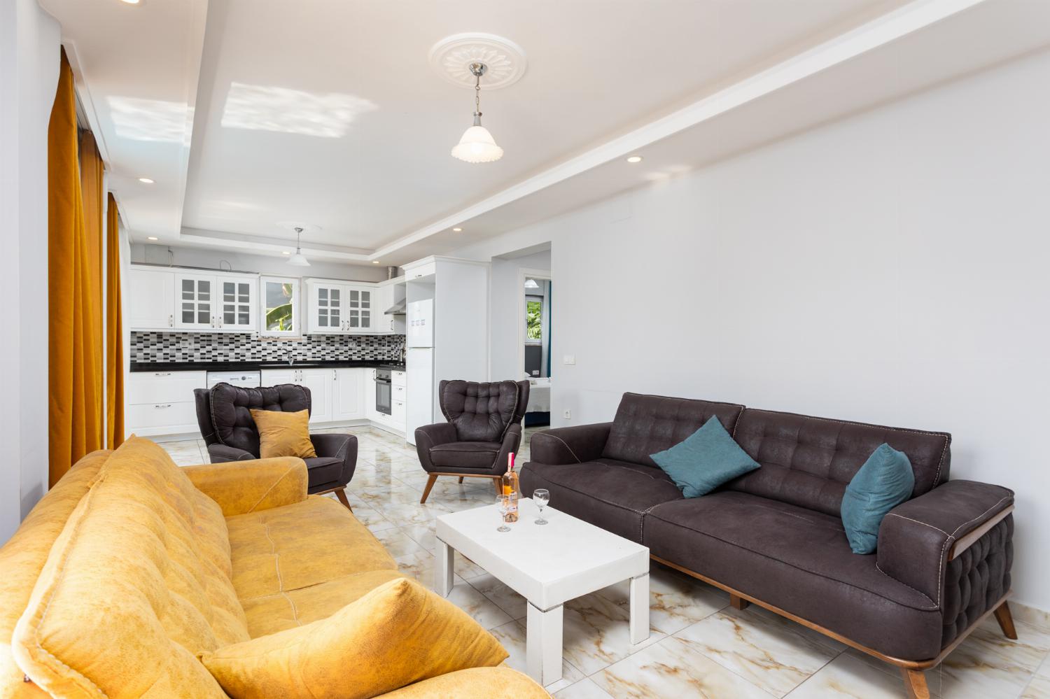 Open-plan living room with sofas, kitchen, A/C, WiFi internet, and satellite TV