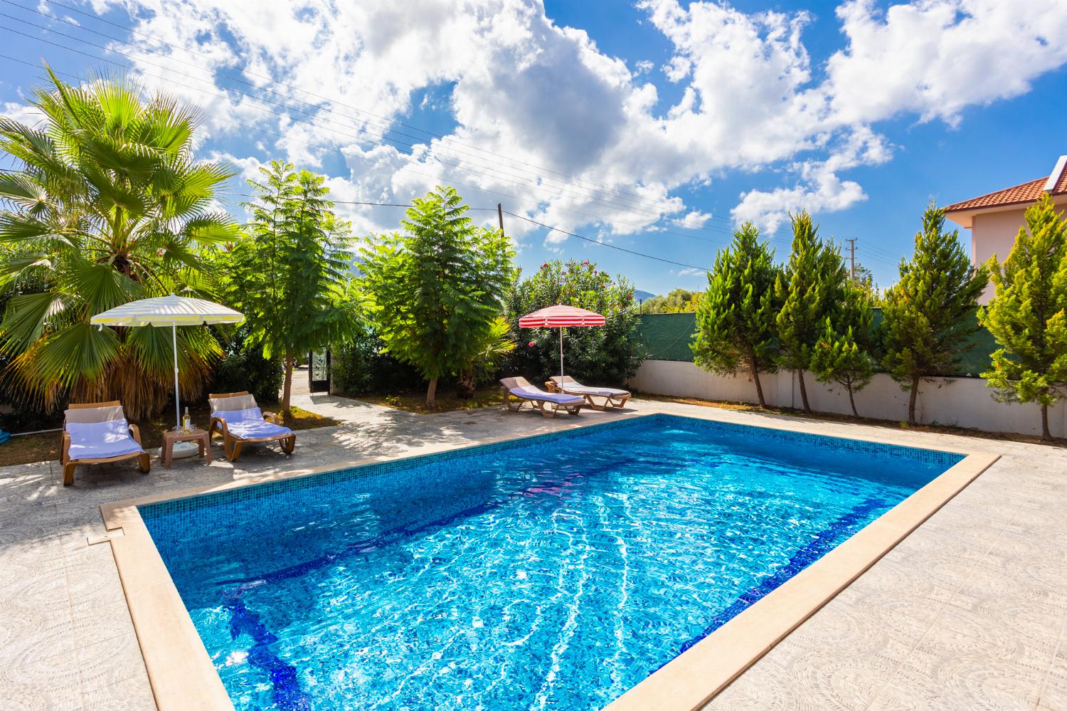 Private pool and terrace 