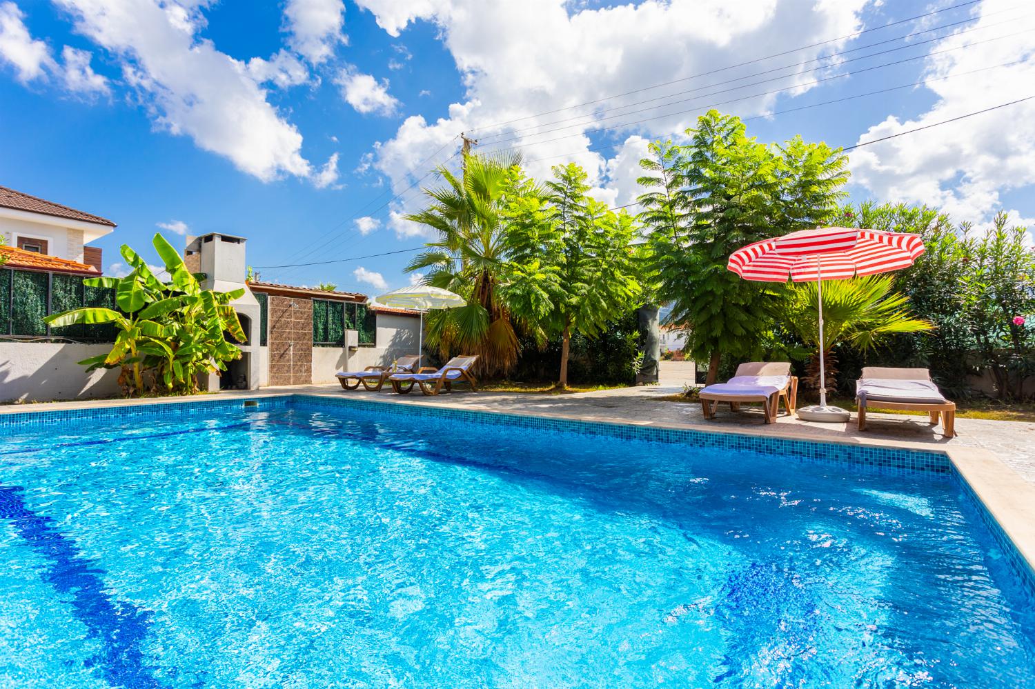 Private pool and terrace 
