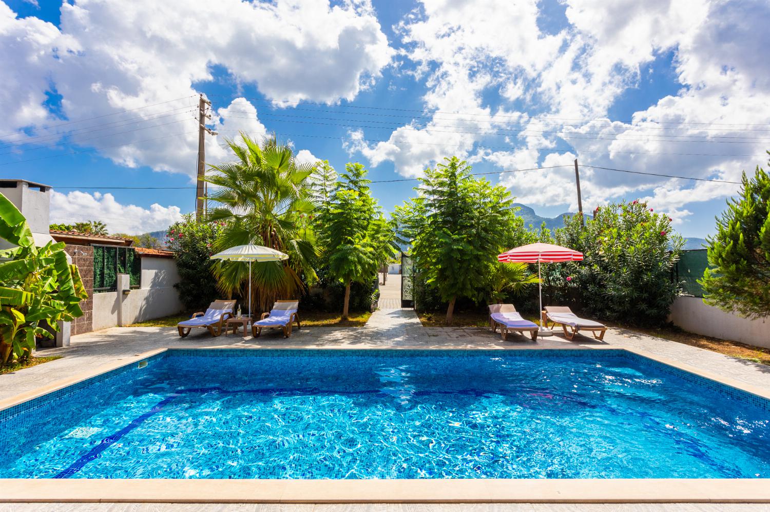 Private pool and terrace