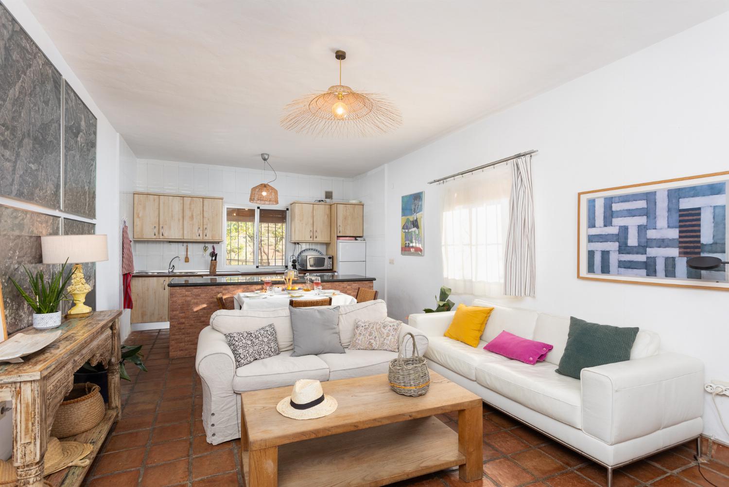 Open-plan living room with sofas, dining area, kitchen, ornamental fireplace, A/C, WiFi internet, and satellite TV
