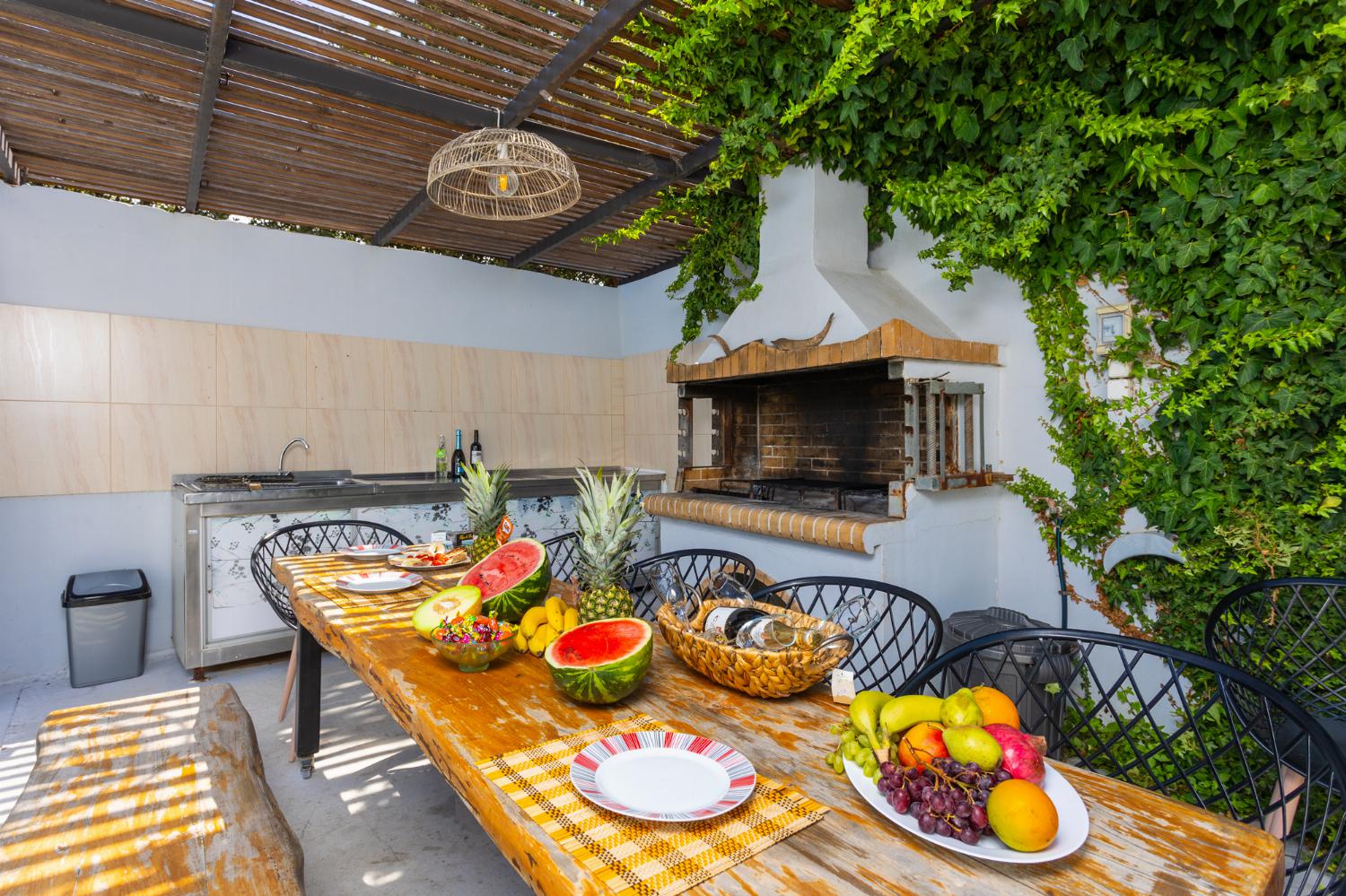 Terrace area with BBQ