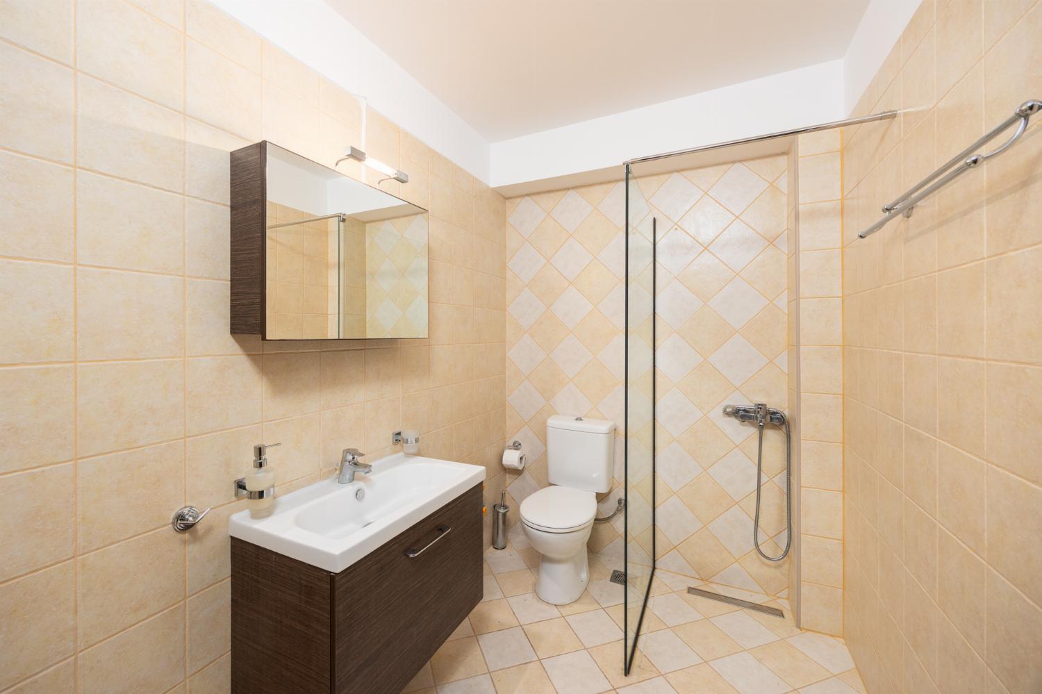 Family bathroom with shower