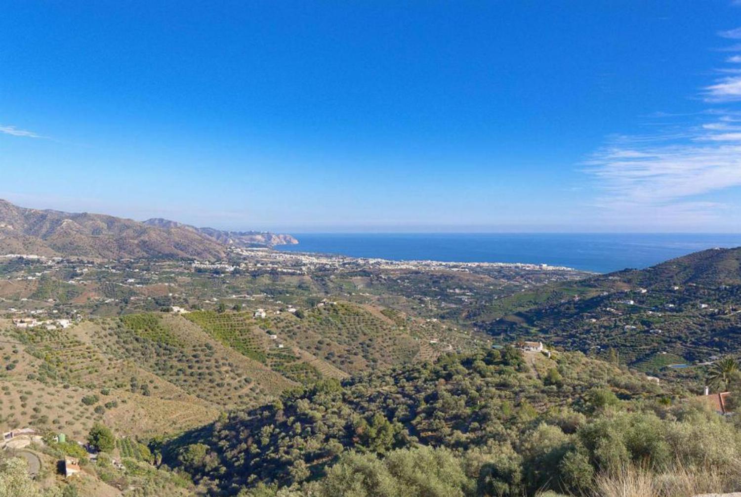 Panoramic view