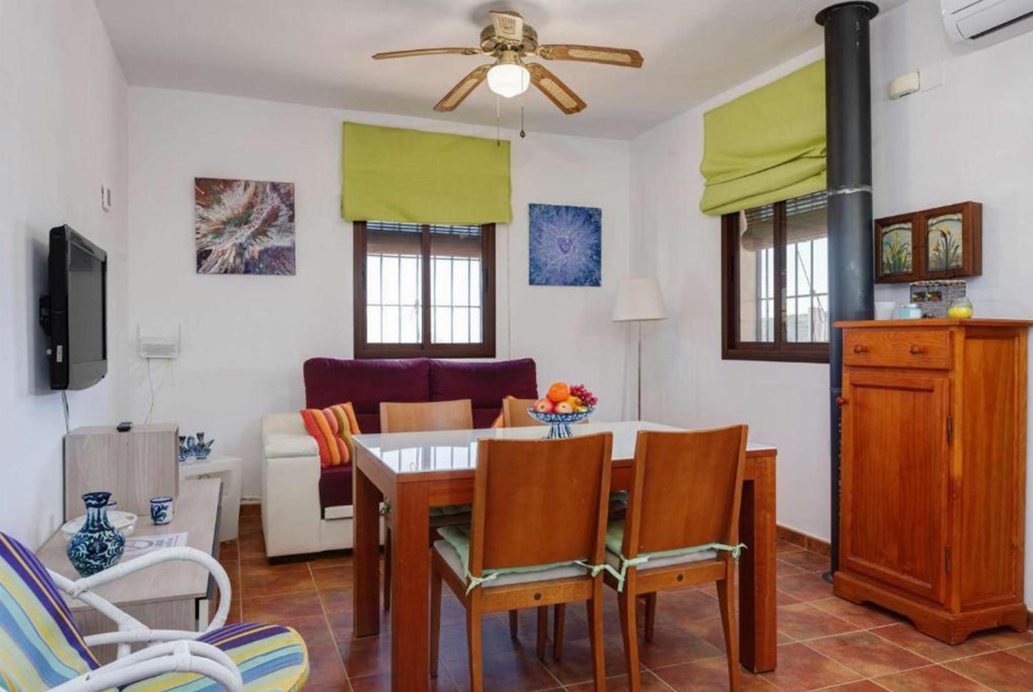 Open-plan living room with sofas, dining area, kitchen, ornamental fireplace, A/C, WiFi internet, satellite TV