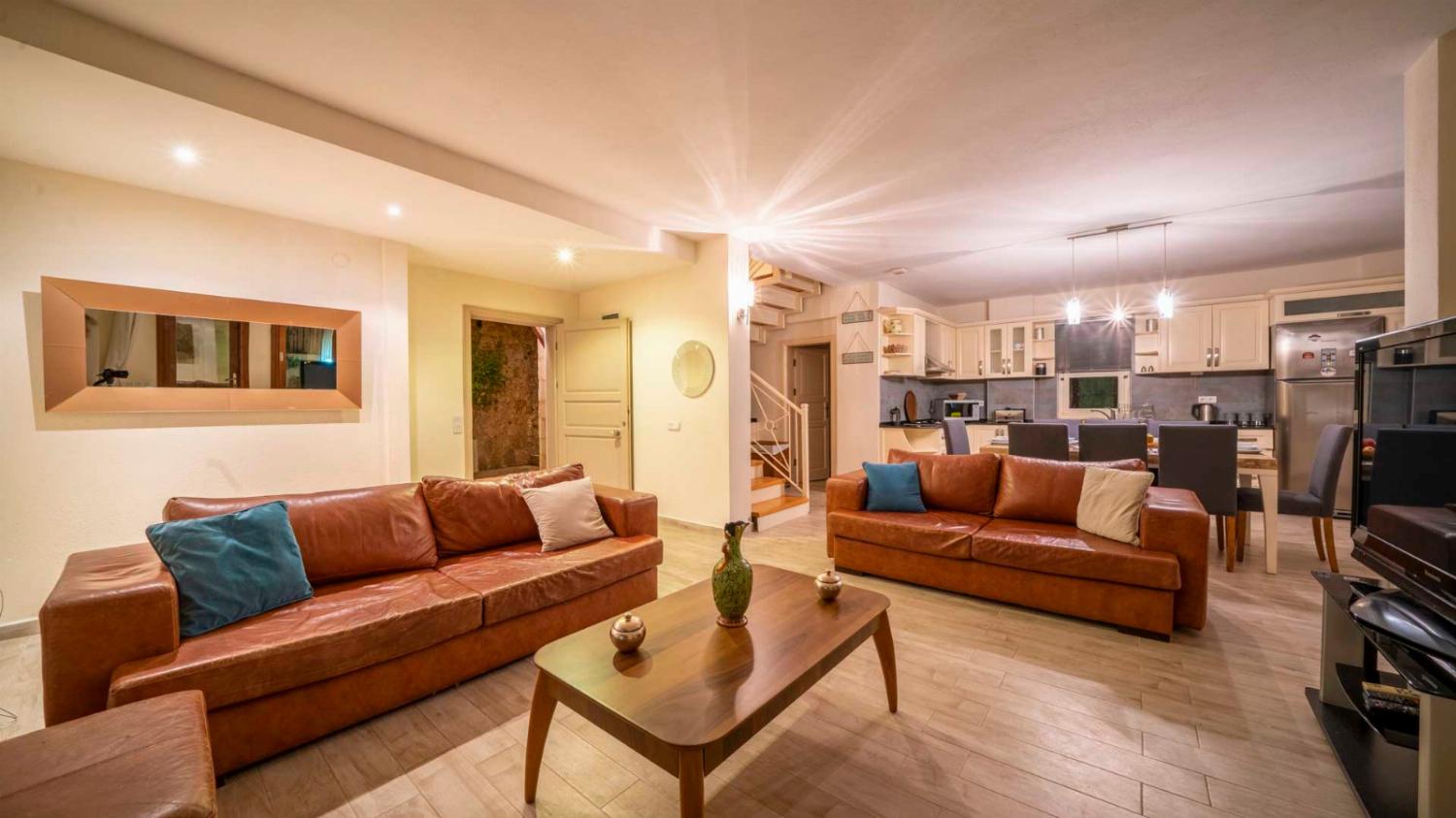 Open-plan living room with sofas, dining areas, kitchen