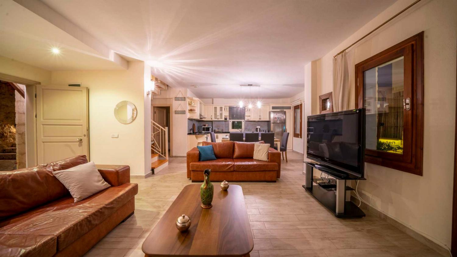 Open-plan living room with sofas, dining areas, kitchen