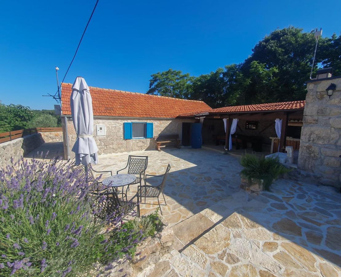 ,Beautiful villa with terrace