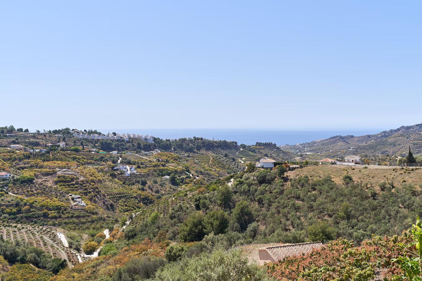 Panoramic view