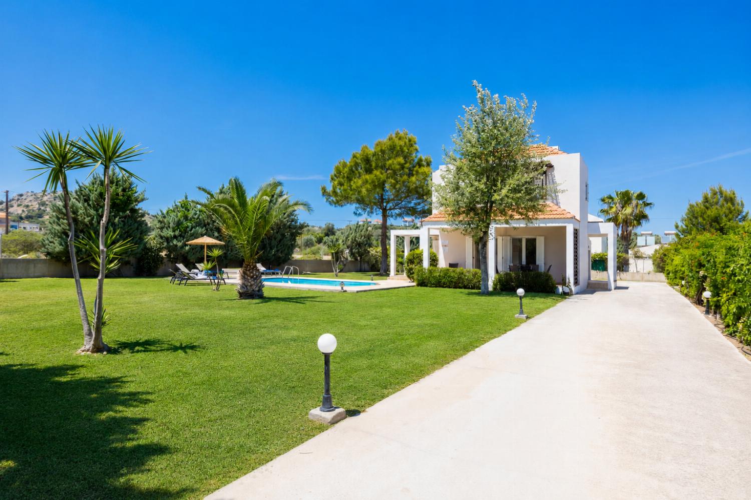 Driveway