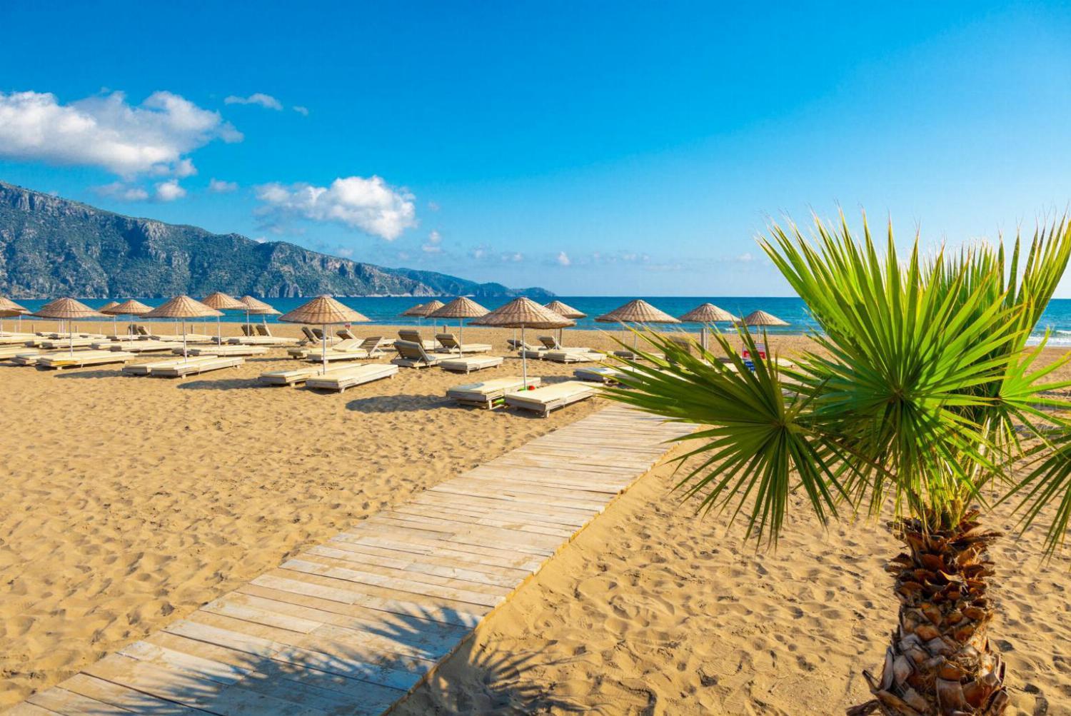 Local beach