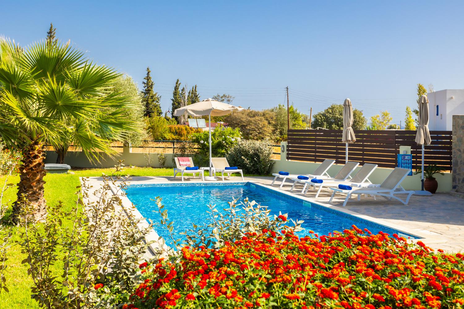 Private pool, terrace, and garden