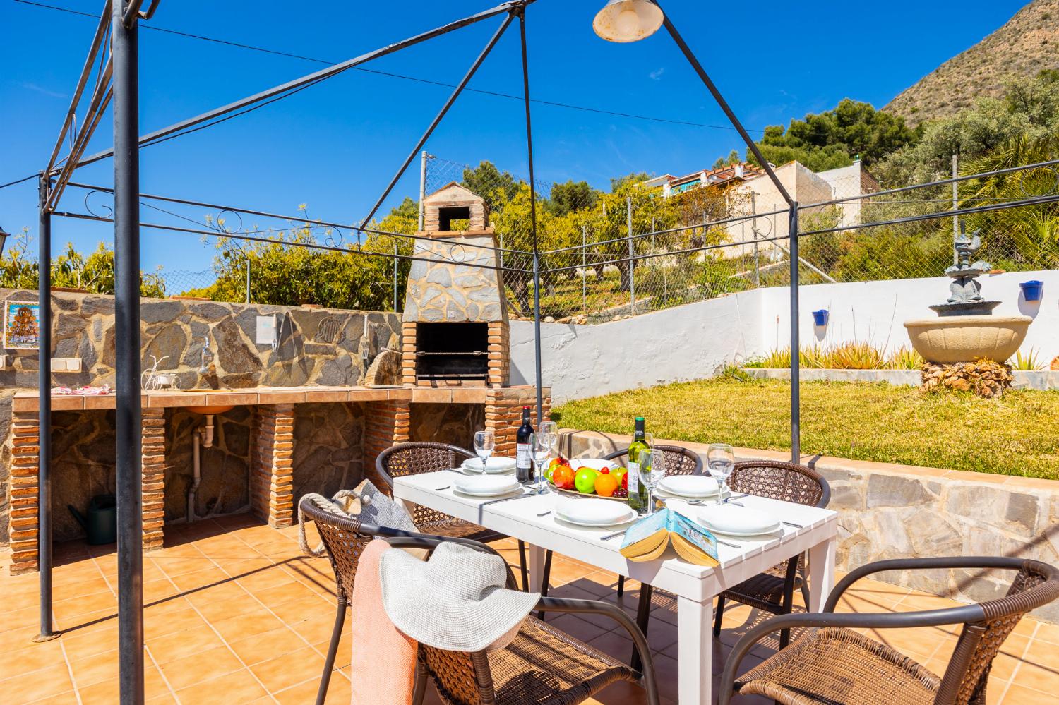 Terrace area with BBQ
