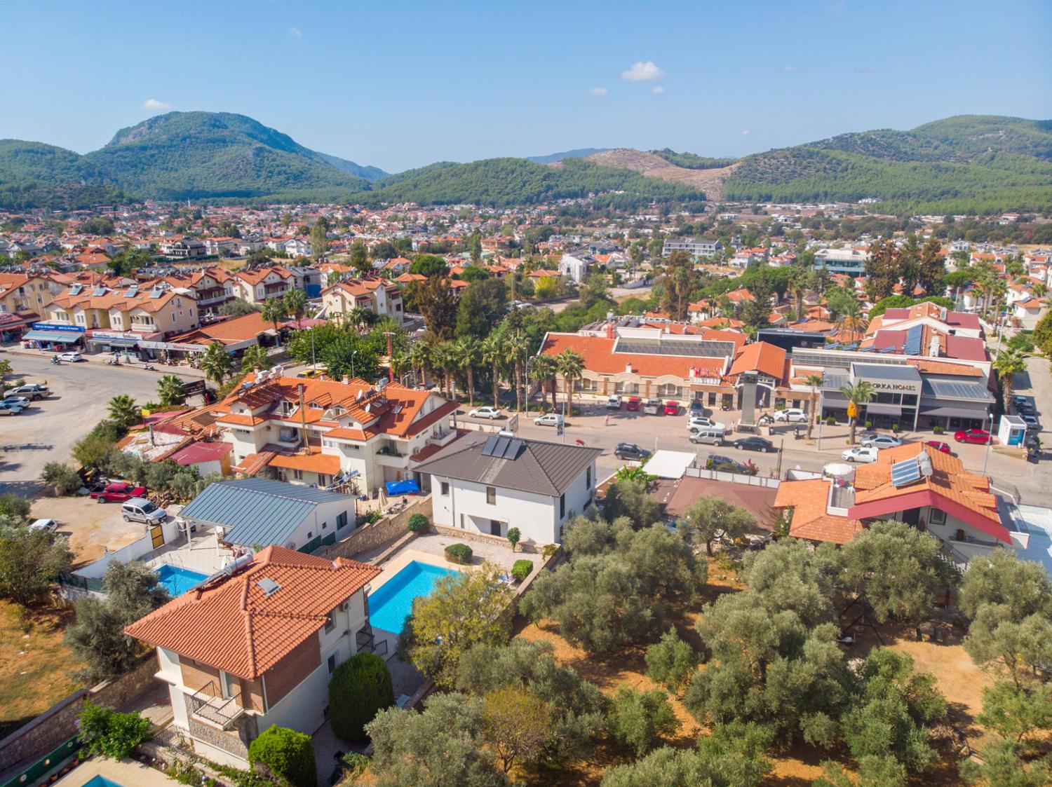 Panoramic view