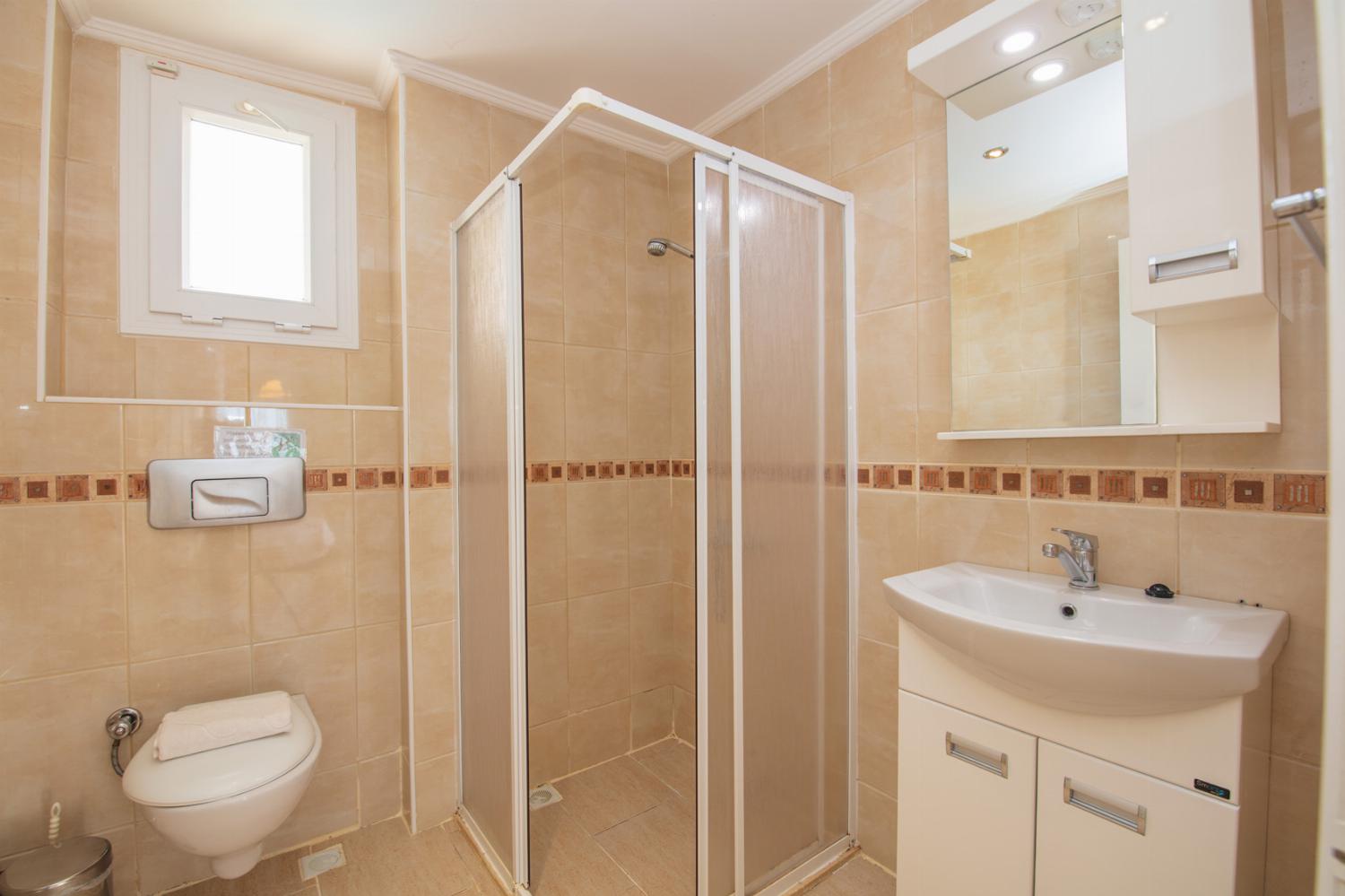 En suite bathroom with WC and shower