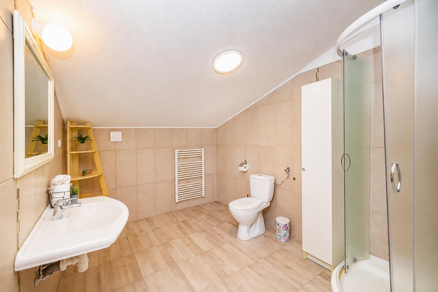 Family bathroom with shower