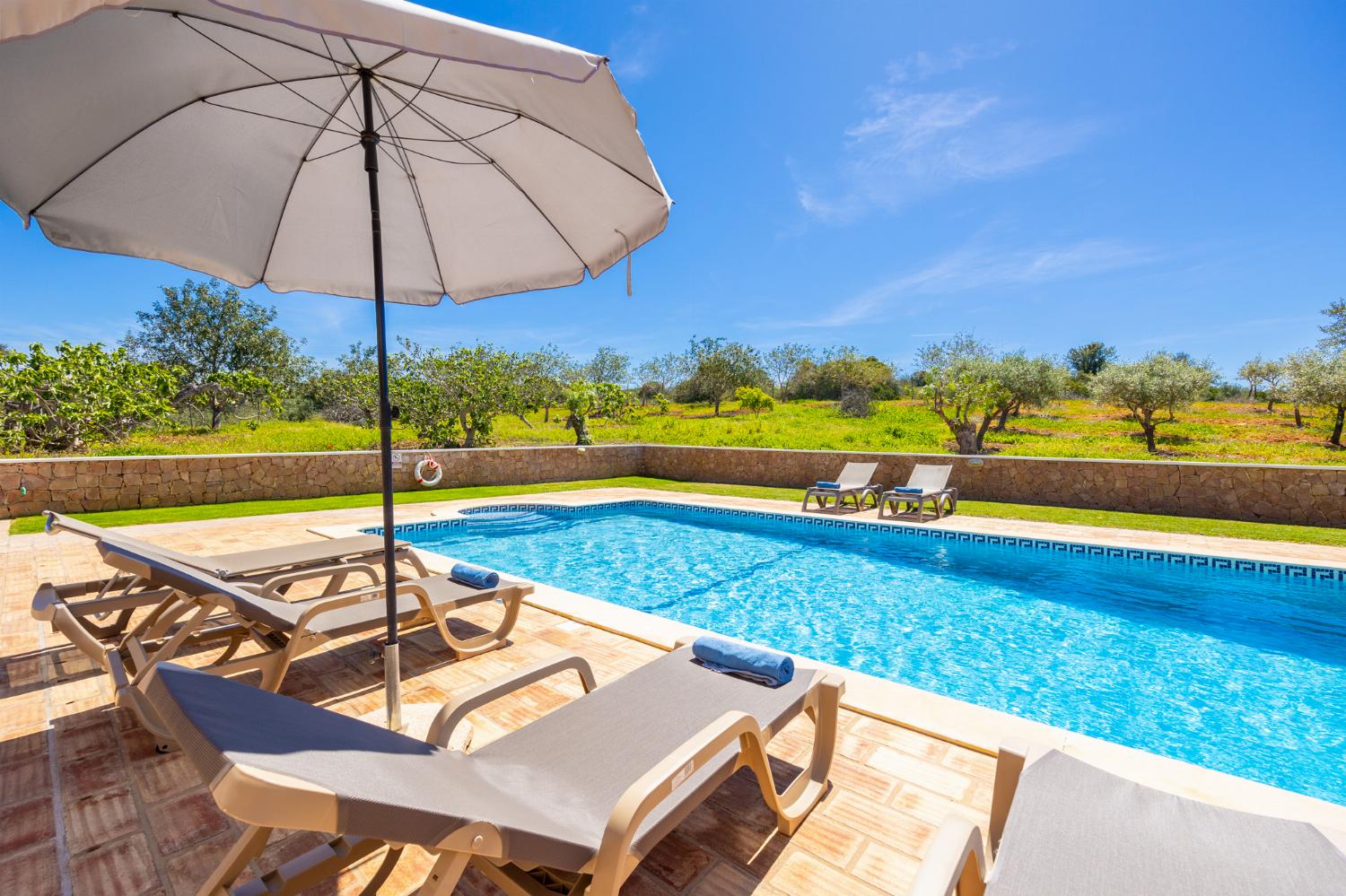 Private pool and terrace