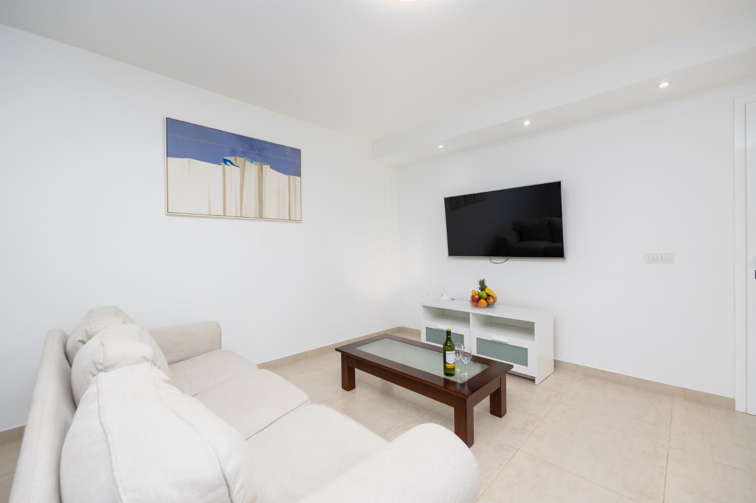 Living area with sofa, kitchenette, pool table, WiFi internet, and satellite TV