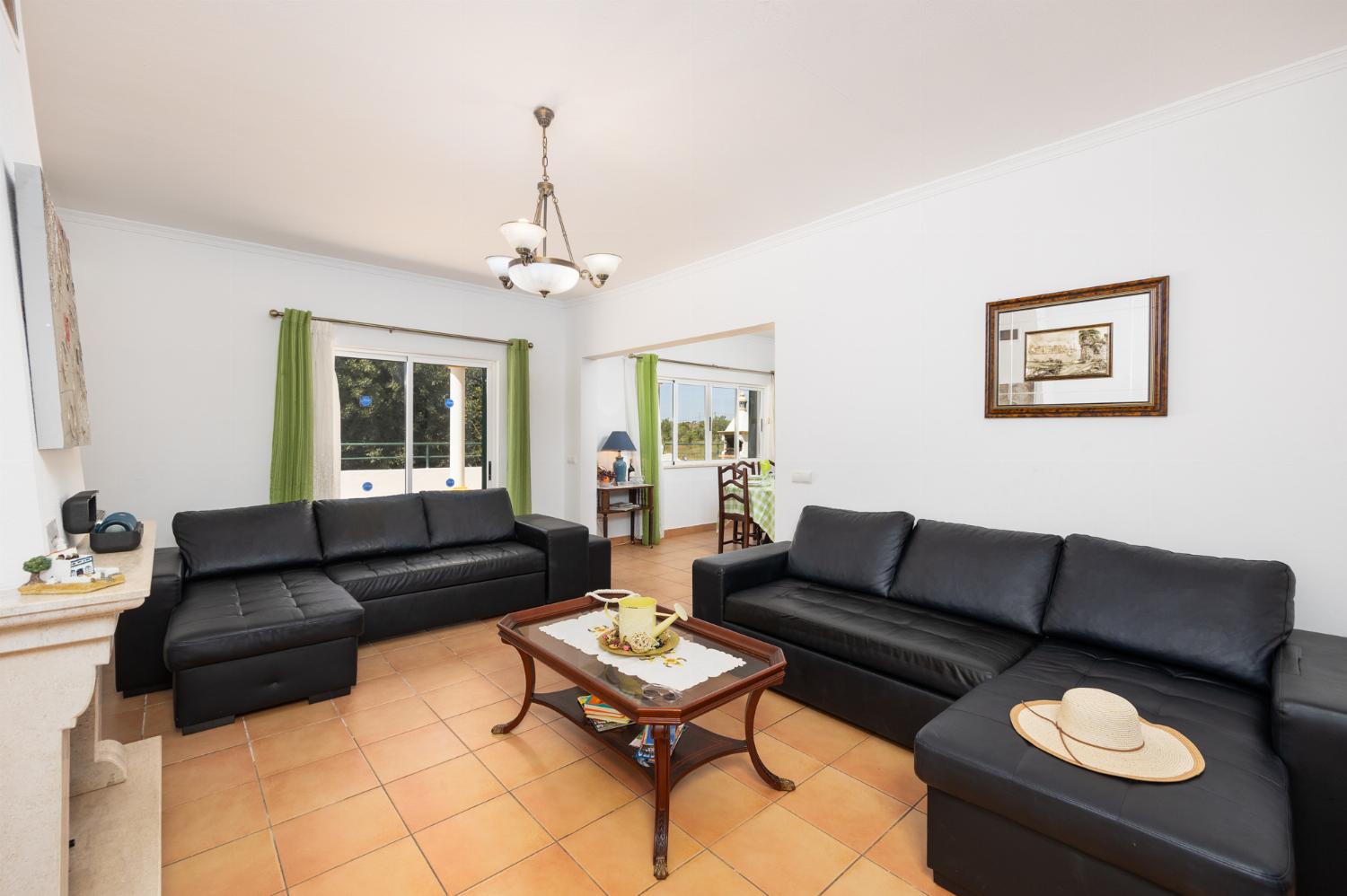Living room with sofas, ornamental fireplace, A/C, WiFi internet, and satellite TV