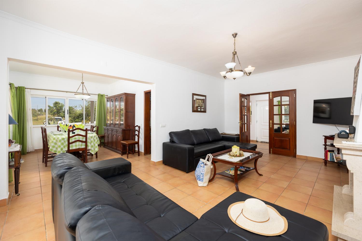 Living room with sofas, ornamental fireplace, A/C, WiFi internet, and satellite TV