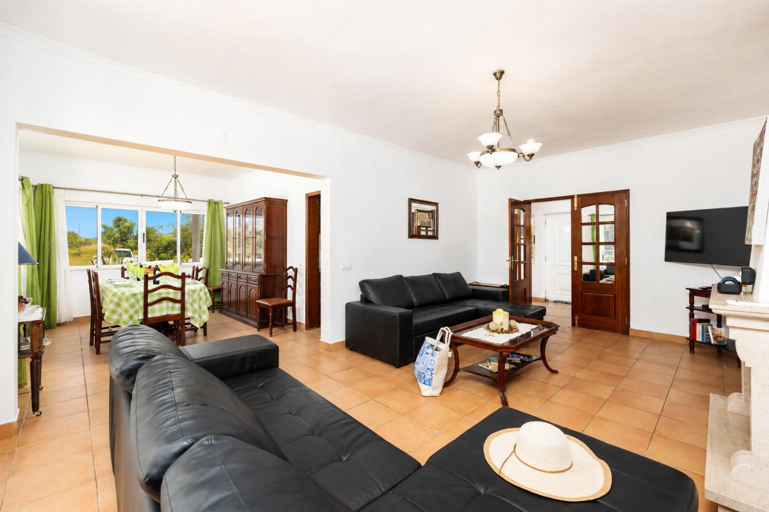 Living room with sofas, ornamental fireplace, A/C, WiFi internet, and satellite TV