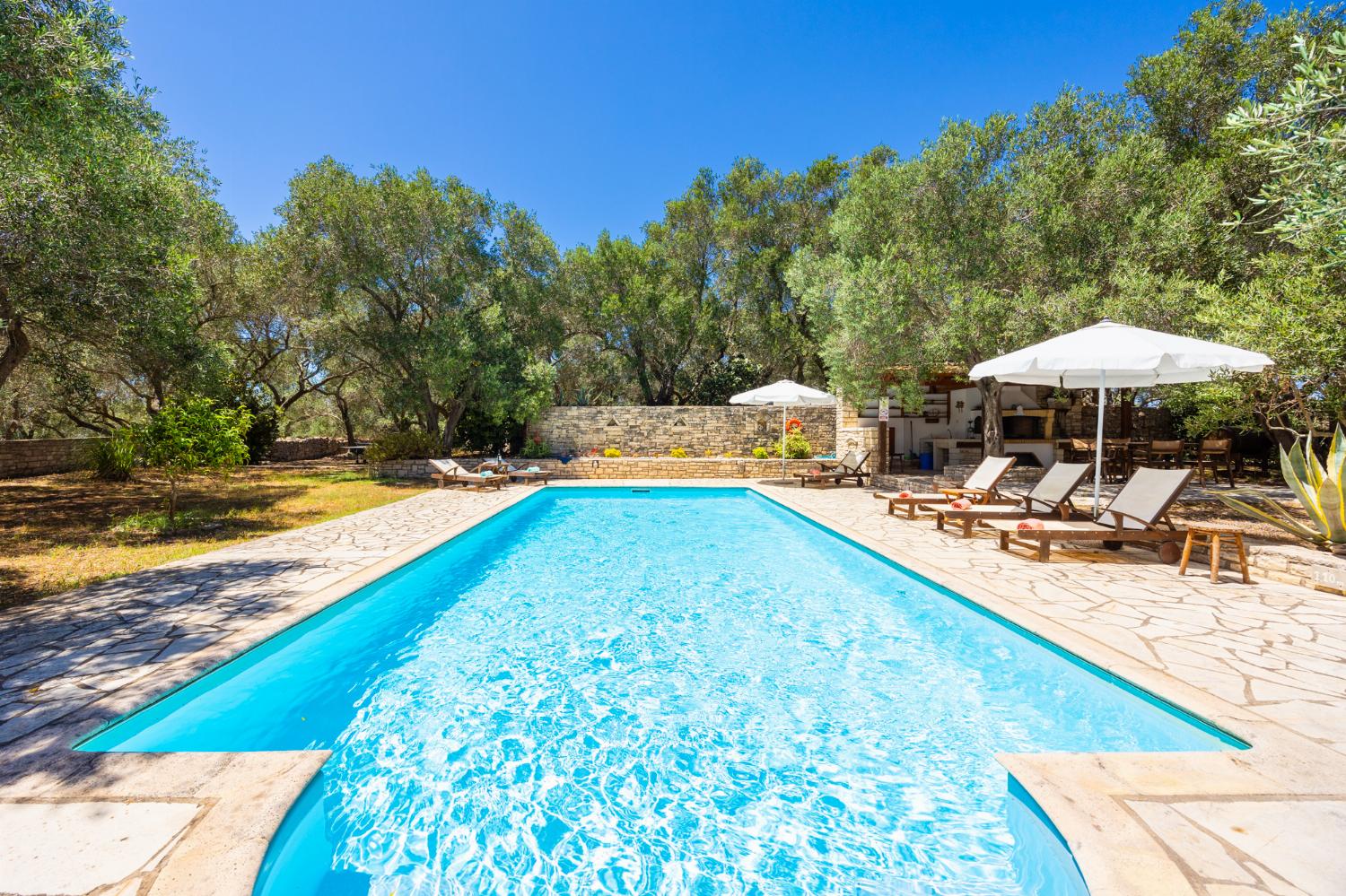 Private pool, terrace, and garden