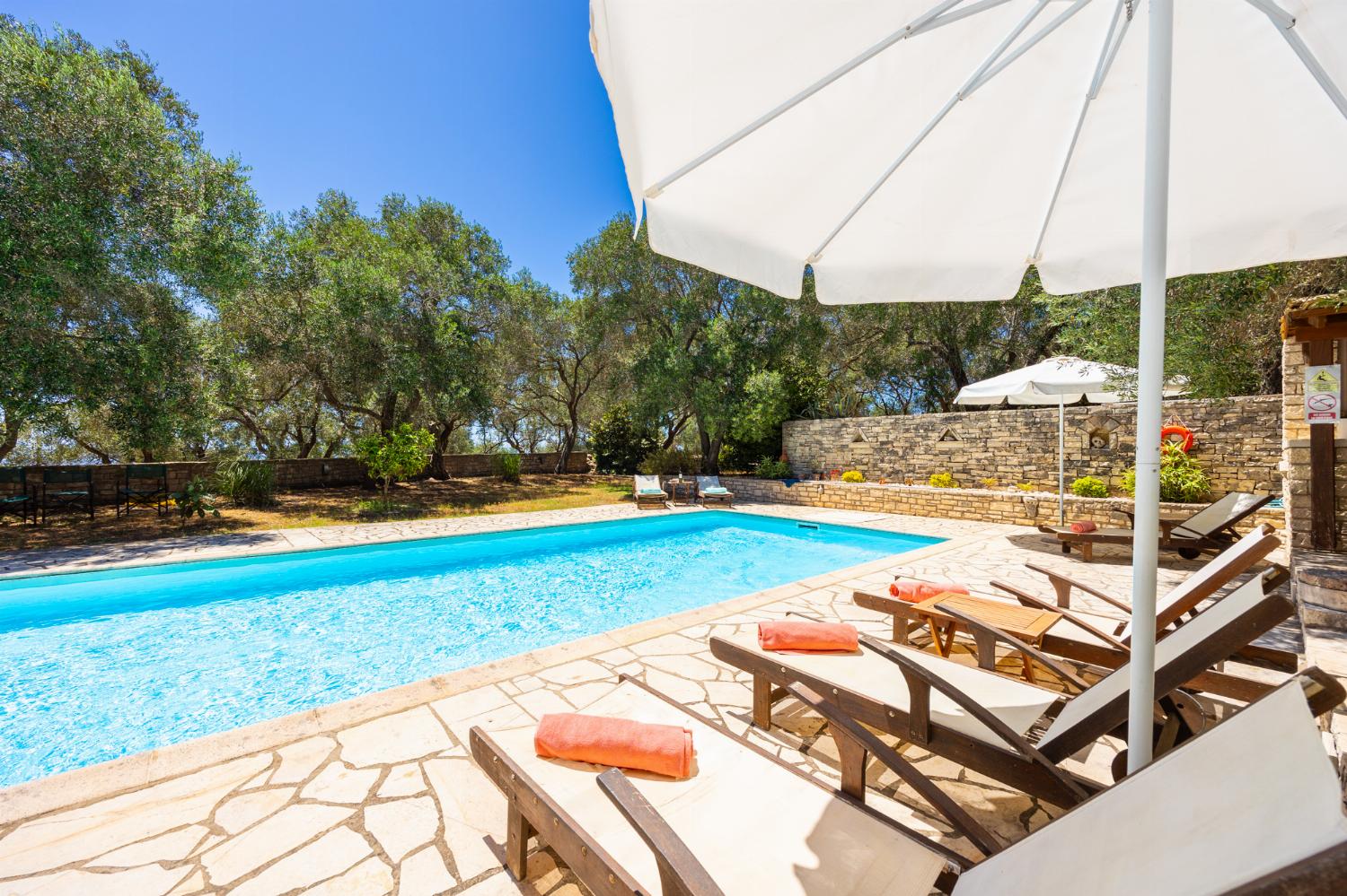 Private pool, terrace, and garden