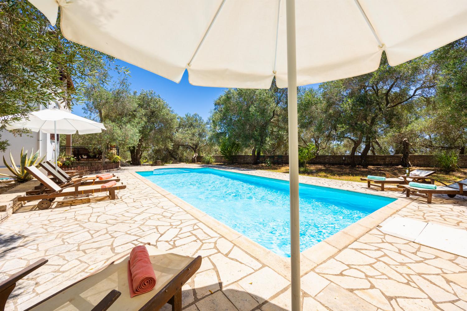 Private pool, terrace, and garden