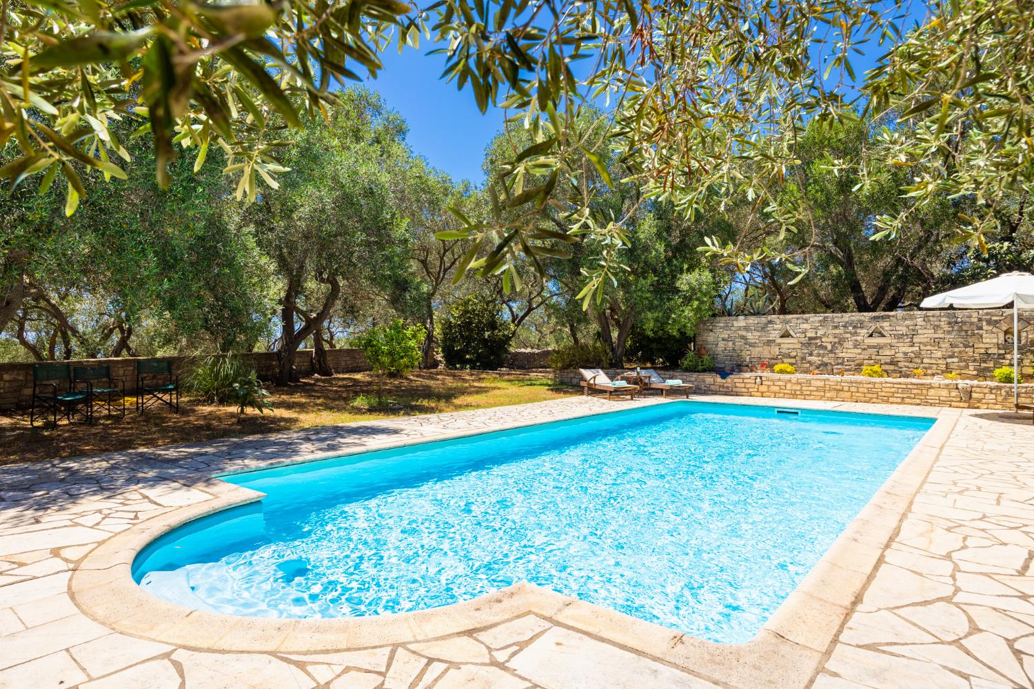 Private pool, terrace, and garden