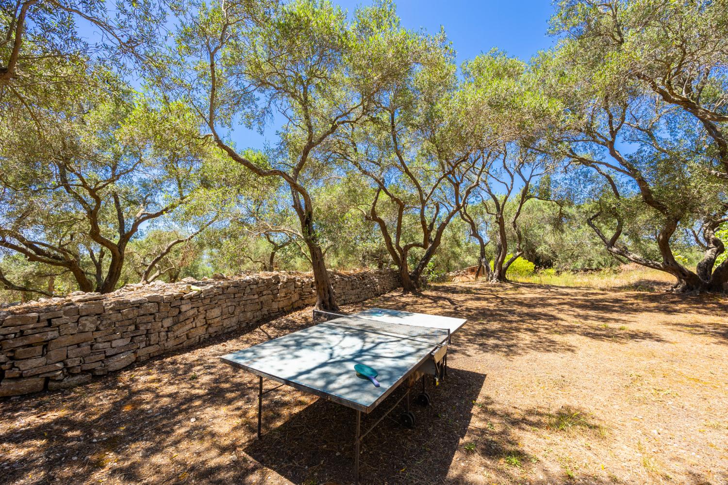 Garden area with table tennis