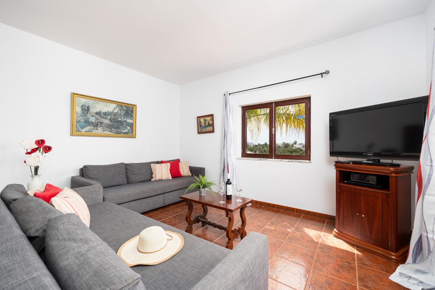 Living room with sofas, dining area, WiFi internet, and satellite TV