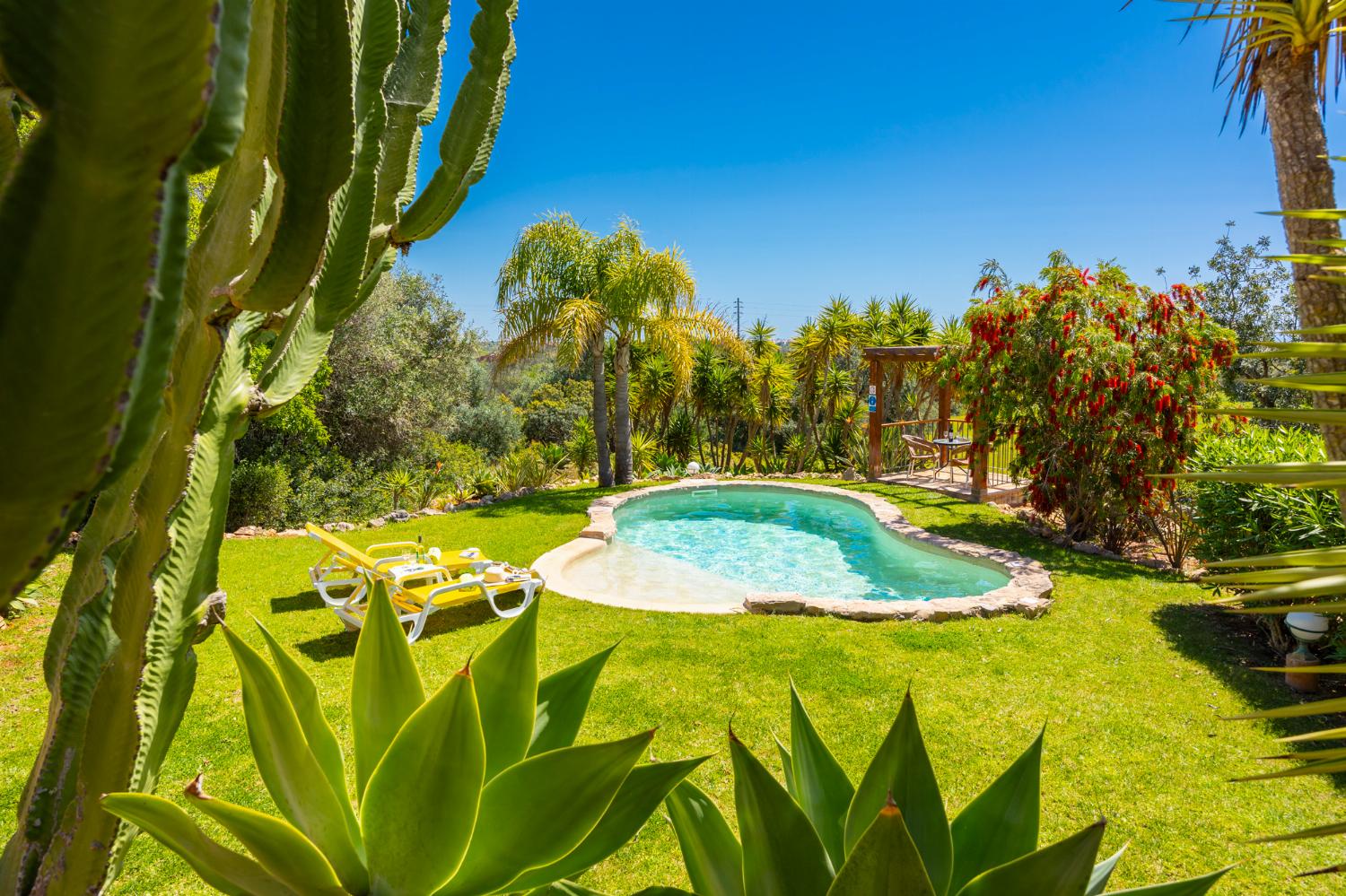 Private pool, terrace, and garden