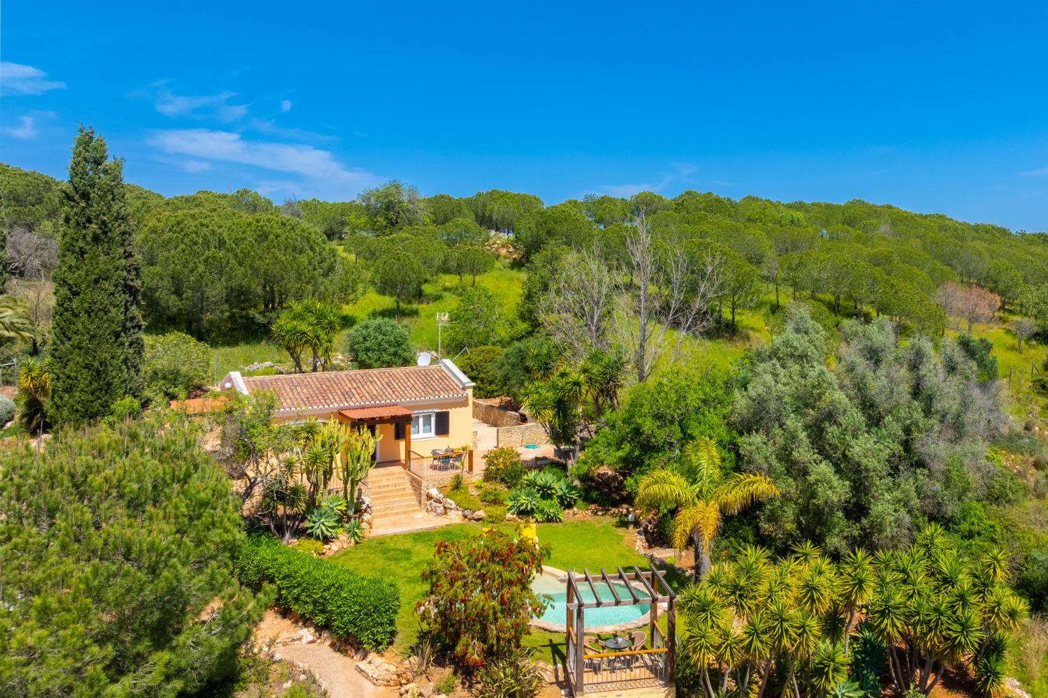 Aerial view of Villa Irene