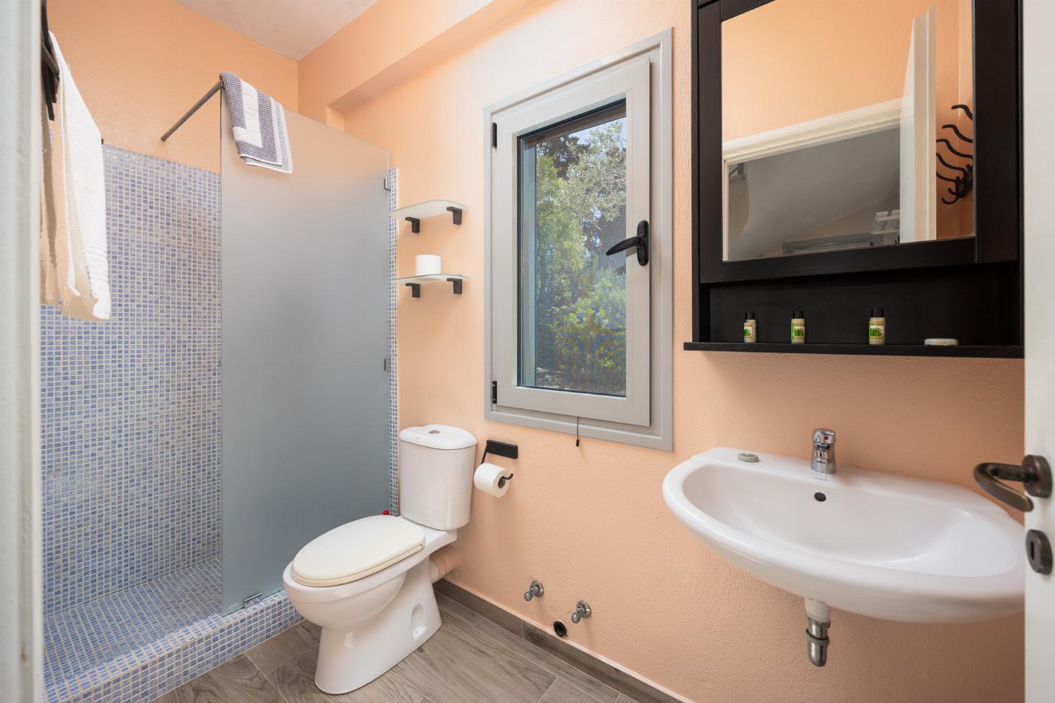 Family bathroom with shower