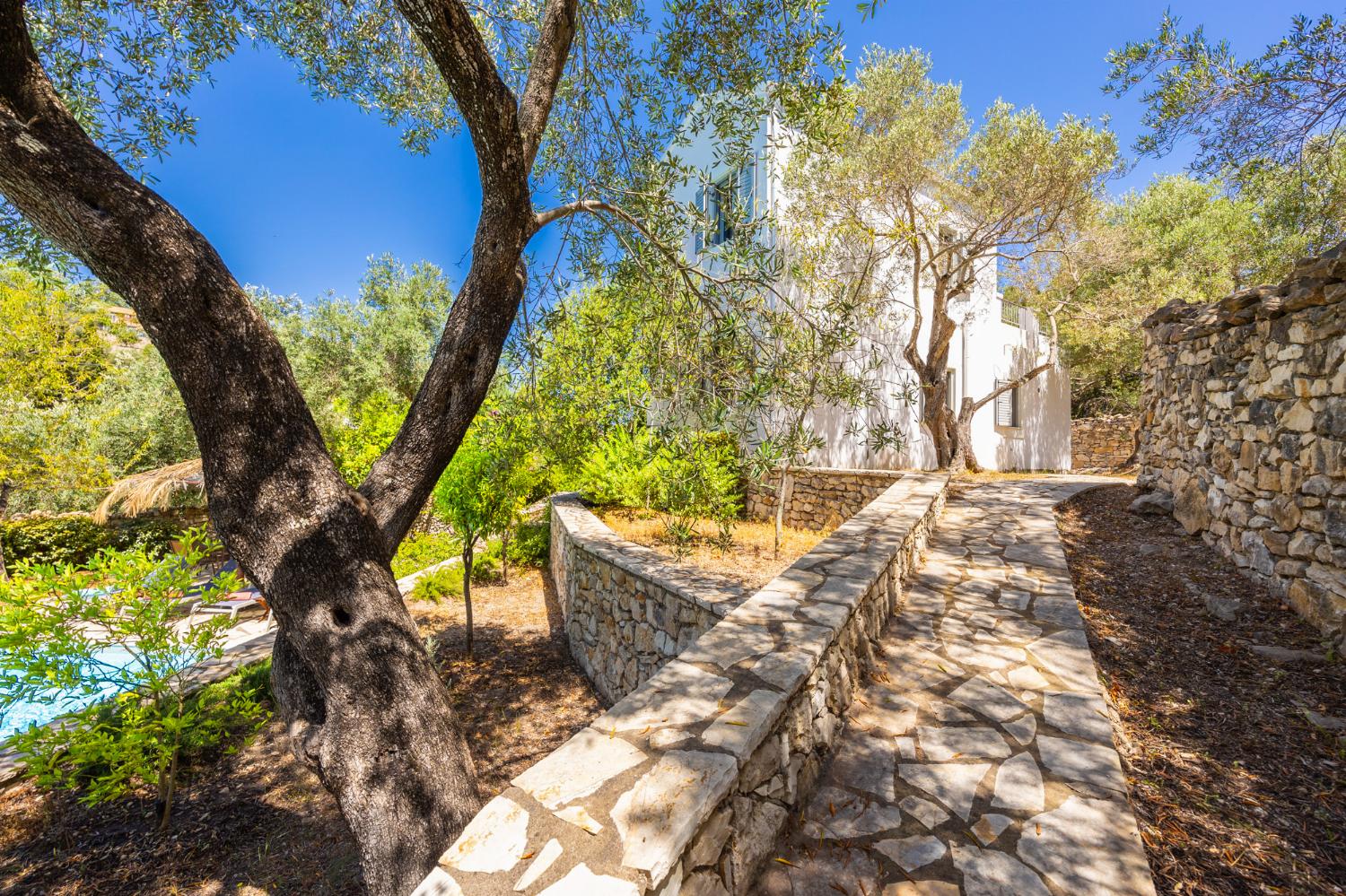 Garden area